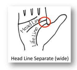 palmistry head-line-separate-wide